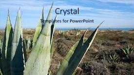  Presentation with sea and beach - Colorful slide set enhanced with el saler beach in valencia backdrop and a light blue colored foreground