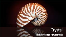  Presentation with record audio studio - Colorful presentation theme enhanced with elaborate - nautilus shell in studio backdrop and a wine colored foreground