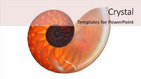  Presentation with shell - Colorful slide deck enhanced with elaborate - nautilus shell isolated on white backdrop and a lemonade colored foreground