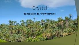  Presentation with community - PPT theme having elche elx alicante el palmeral park with many palm trees in valencian community of spain background and a light blue colored foreground