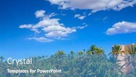  Presentation with community - Amazing presentation design having elche elx alicante el palmeral park with many palm trees in valencian community of spain backdrop and a teal colored foreground