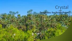  Presentation with community - PPT layouts featuring elche elx alicante el palmeral park with many palm trees in valencian community of spain background and a light blue colored foreground