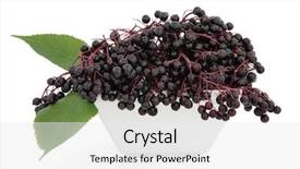  Presentation with porcelain - Cool new slide set with young woman reading a text message seated at a restaurant table isolated on white background backdrop and a light gray colored foreground