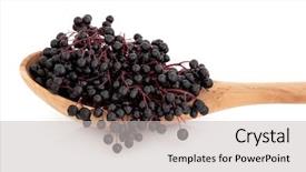  Presentation with olive - Cool new PPT theme with elderberry fruit in an olive backdrop and a light gray colored foreground