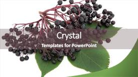  Presentation with fruit - Amazing PPT theme having aerial view colourful flea market backdrop and a tawny brown colored foreground.