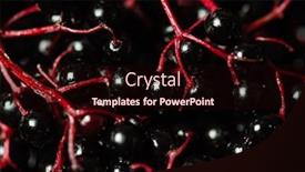  Presentation with fruits - Slides consisting of elderberry-fruits-on-the-dark background and a wine colored foreground