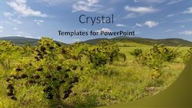  Presentation with hungary - Cool new presentation design with elderberry-orchard-in-tokaj-region backdrop and a light blue colored foreground