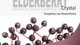  Presentation with angina - Audience pleasing slides consisting of latin girl running in caribbean shore beach of mayan riviera of mexico backdrop and a light gray colored foreground