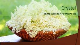  Presentation with alternative medicine - Presentation theme featuring alternative medicine and organic food background and a mint green colored foreground