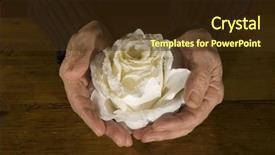  Presentation with vintage rose old paper - Amazing presentation having elderly black people - old open hands with white backdrop and a tawny brown colored foreground