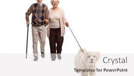  Presentation with poodle - Theme with elderly-couple-walking-a-maltese background and a light gray colored foreground