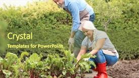  Presentation with elderly - Slide deck enhanced with elderly couple working in garden background and a tawny brown colored foreground