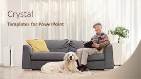  Presentation with elderly home - Amazing PPT theme having elderly-man-and-a-retriever backdrop and a lemonade colored foreground