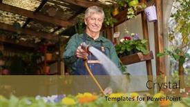  Presentation with nursery - Presentation theme consisting of elderly-man-as-a-gardener background and a gold colored foreground