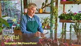  Presentation with inventory - PPT layouts enhanced with elderly-man-gardener-or-florist background and a tawny brown colored foreground