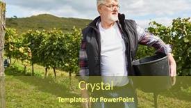  Presentation with harvest - Audience pleasing PPT layouts consisting of elderly-winegrower-or-harvest-worker backdrop and a tawny brown colored foreground