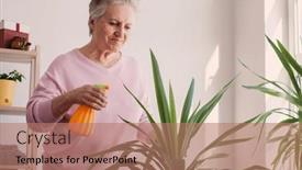  Presentation with leaves - Slides consisting of elderly-woman-sprays-the-leaves background and a coral colored foreground