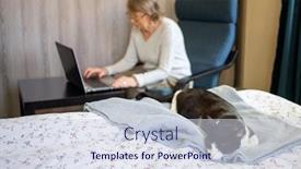  Presentation with sleeping - Beautiful PPT theme featuring elderly-woman-using-laptop-cat backdrop and a sky blue colored foreground