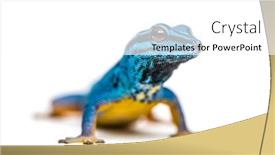  Presentation with electric - Colorful PPT theme enhanced with electric-blue-gecko-looking backdrop and a white colored foreground