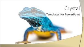  Presentation with electric - Theme consisting of electric-blue-gecko-looking background and a white colored foreground