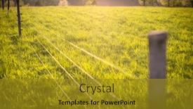  Presentation with pasture - PPT layouts consisting of electric-fence-around-a-pasture background and a gold colored foreground