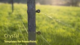  Presentation with pasture - Presentation theme having electric-fence-around-a-pasture background and a tawny brown colored foreground