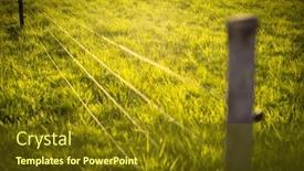  Presentation with pasture - PPT theme enhanced with electric-fence-around-a-pasture background and a tawny brown colored foreground