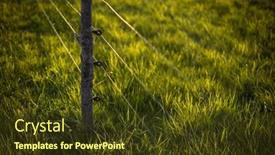  Presentation with pasture - Slides having electric-fence-around-a-pasture background and a tawny brown colored foreground