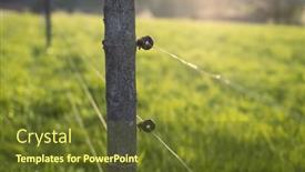  Presentation with pasture - Slides having electric-fence-around-a-pasture background and a tawny brown colored foreground