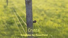  Presentation with pasture - PPT layouts featuring electric-fence-around-a-pasture background and a tawny brown colored foreground