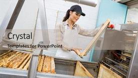  Presentation with honeycomb - Cool new slide deck with electronics process instrument - young female beekeeper looking backdrop and a  colored foreground