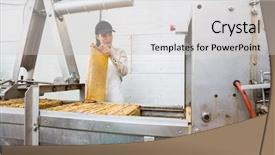  Presentation with young plant - PPT layouts having electronics process instrument - young female beekeeper working background and a  colored foreground