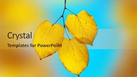  Presentation with bright yellow - PPT theme consisting of elegam - bright yellow-blue elegy sharp yellow background and a  colored foreground