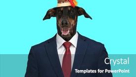  Presentation with navy blue - Presentation theme having elegant-businessdog-wearing-navy-blue background and a wine colored foreground