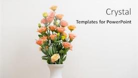  Presentation with color pink - Presentation theme consisting of elegant-eustoma-in-pink-color background and a white colored foreground