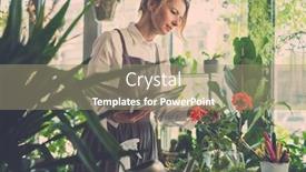  Presentation with flower elegant - Amazing PPT theme having elegant-florist-studies-information backdrop and a coral colored foreground