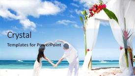  Presentation with elegant flowers - Amazing PPT theme having elegant party - loving couple on wedding day backdrop and a light blue colored foreground