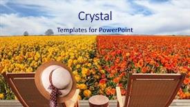  Presentation with lounge - Presentation theme with elegant women's straw hat hanging on a deck chair couple wooden convenient a chaise lounge near the field of buttercups concept of recreational tourism background and a light blue colored foreground