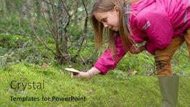  Presentation with mushroom poisoning - Audience pleasing PPT layouts consisting of elementary-age-girl-found backdrop and a gold colored foreground