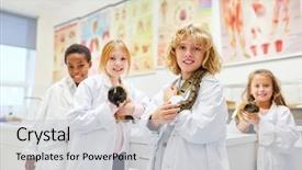  Presentation with laboratory animals - PPT layouts with elementary school in biology background and a light gray colored foreground