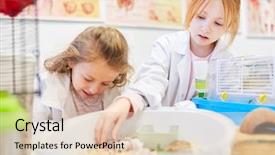  Presentation with elementary children - Colorful theme enhanced with elementary school teaching biology backdrop and a lemonade colored foreground