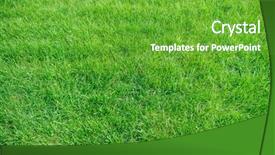  Presentation with grass texture on green - PPT theme having elements growth - green grass background texture element background and a shamrock green colored foreground
