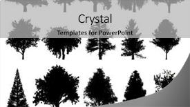  Presentation with black and white trees - Slide set featuring elements growth - silhouettes of trees background and a light gray colored foreground