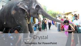  Presentation with blessing - Amazing theme having elephant-blessing-people backdrop and a light gray colored foreground