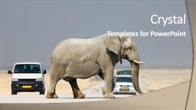  Presentation with vehicles - Presentation theme having elephant crossing the road background and a gray colored foreground