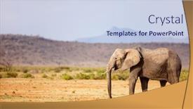  Presentation with africa safari - Beautiful presentation design featuring elephant-in-safari-park backdrop and a sky blue colored foreground