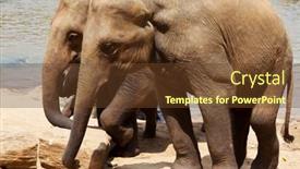  Presentation with elephant - 