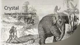  Presentation with sri lanka - Theme enhanced with elephant ploughing old illustration ceylon background and a light gray colored foreground