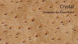  Presentation with cancer cell skin - Colorful PPT theme enhanced with elephant skin seamless background see backdrop and a coral colored foreground