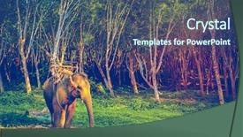  Presentation with krabi - Amazing theme having thaitone - elephant stands in the middle backdrop and a ocean colored foreground